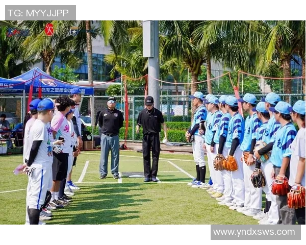 乒乓球推动全民健身发展助力体育强国建设与青少年健康成长