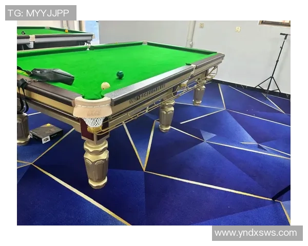 以台球为纽带探索技巧竞技与社交文化交融的魅力世界